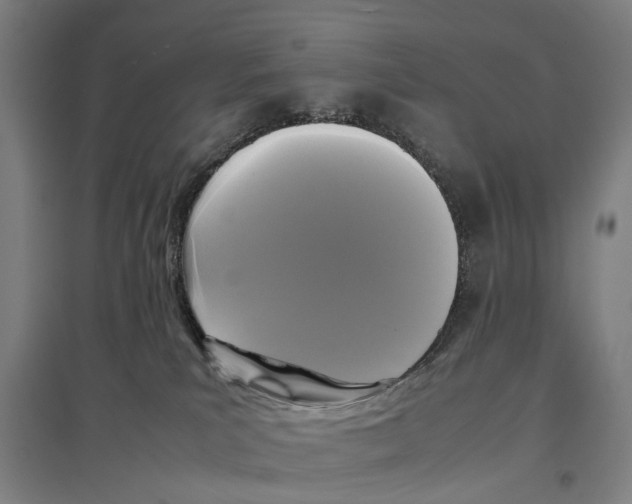 X0000096650039200803041159