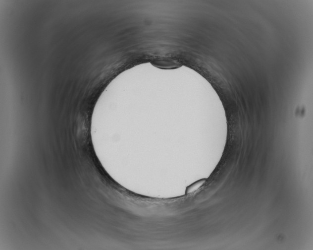 X0000096650040200803041159