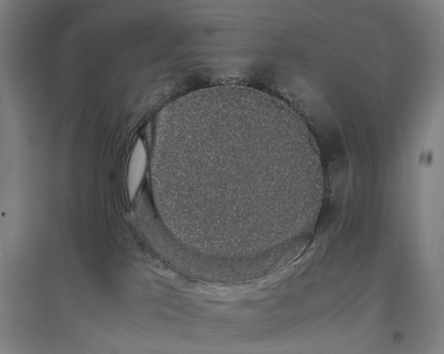 X0000096650041200803041159