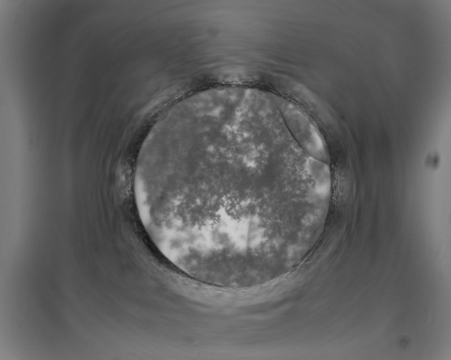 X0000096650043200803041159