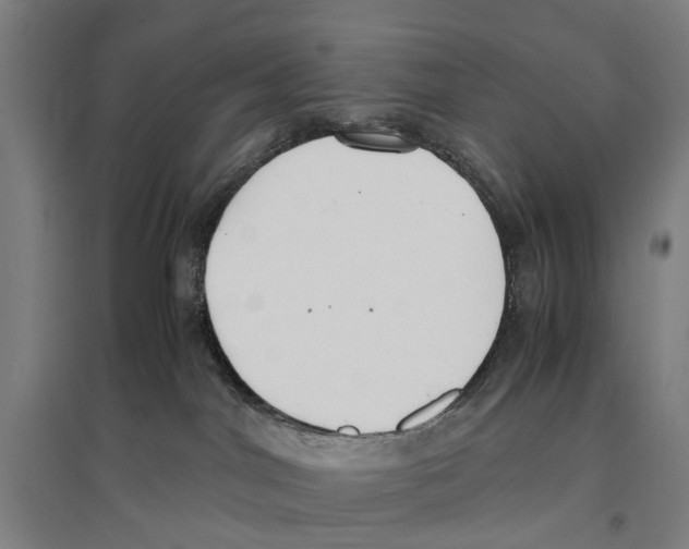 X0000096650044200803041159