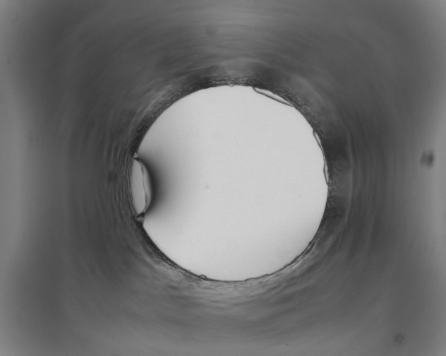 X0000096650045200803041159