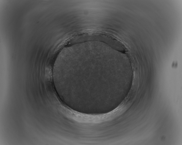 X0000096650048200803041159