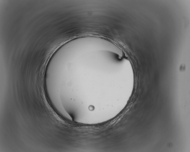 X0000096650049200803041158