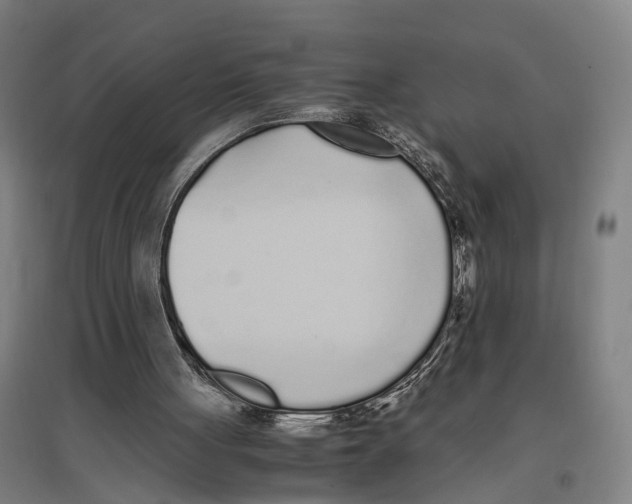 X0000096650051200803041158