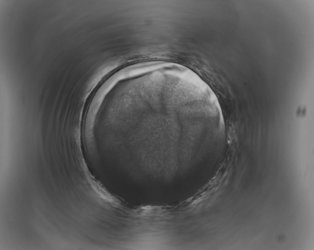 X0000096650052200803041158