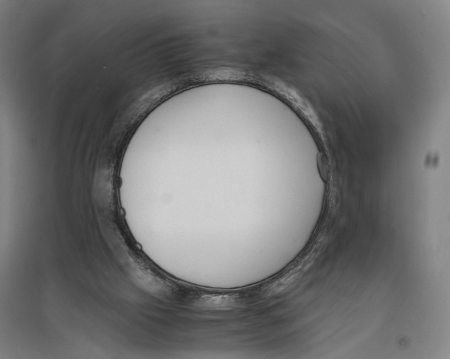 X0000096650057200803041158