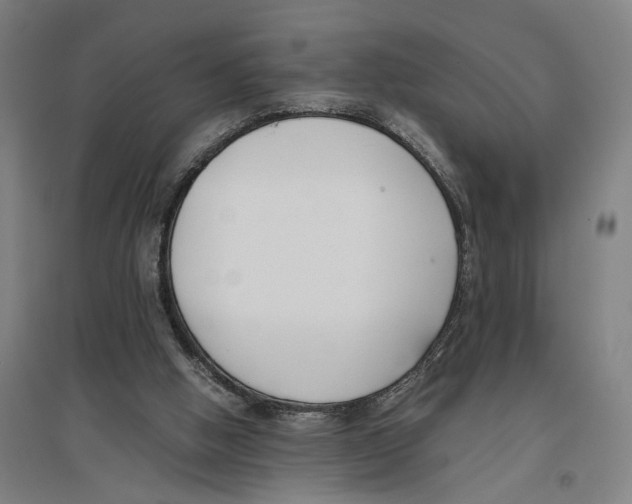 X0000096650058200803041158