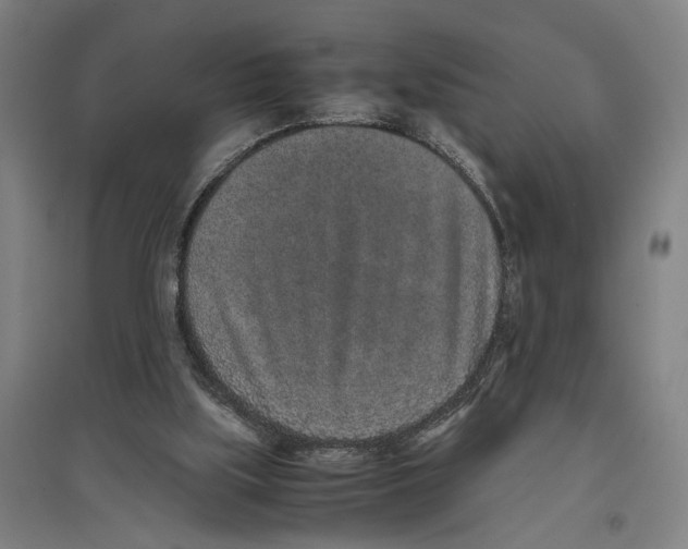 X0000096650059200803041158