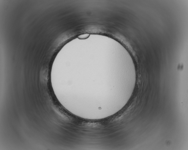 X0000096650063200803041158