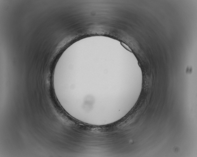 X0000096650064200803041158