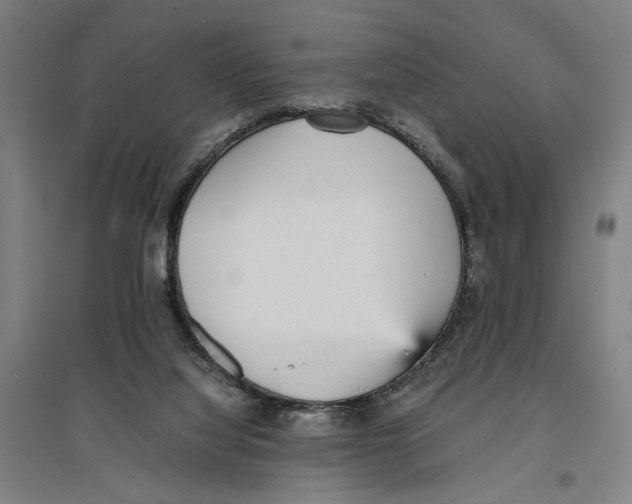 X0000096650068200803041158