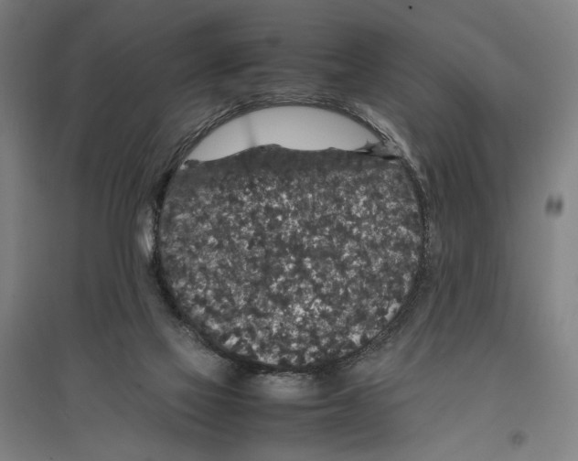 X0000096650069200803041158