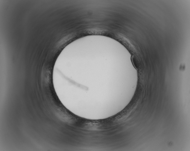 X0000096650071200803041158