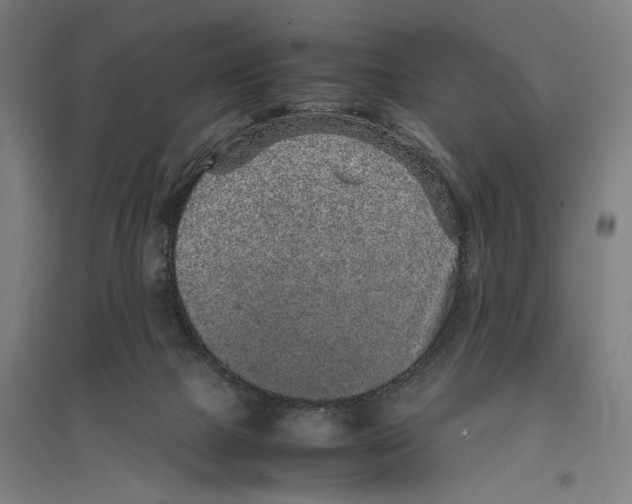 X0000096650073200803041159