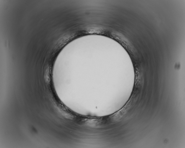 X0000096650074200803041159