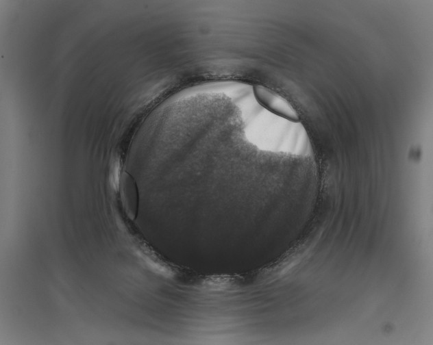 X0000096650076200803041159