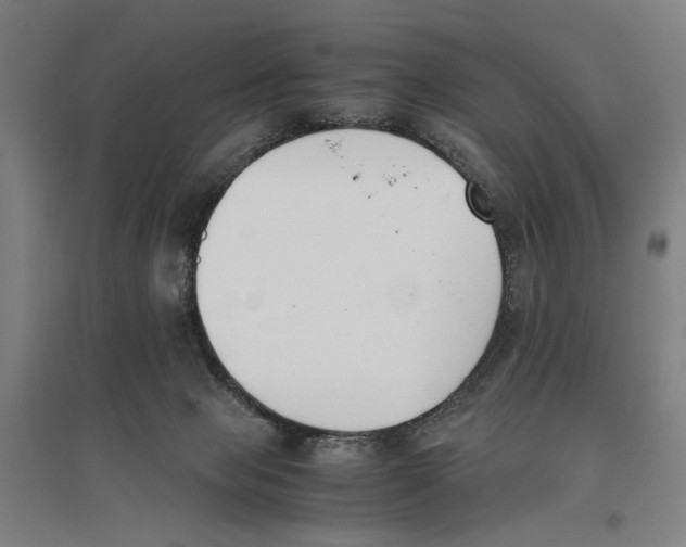 X0000096650077200803041159