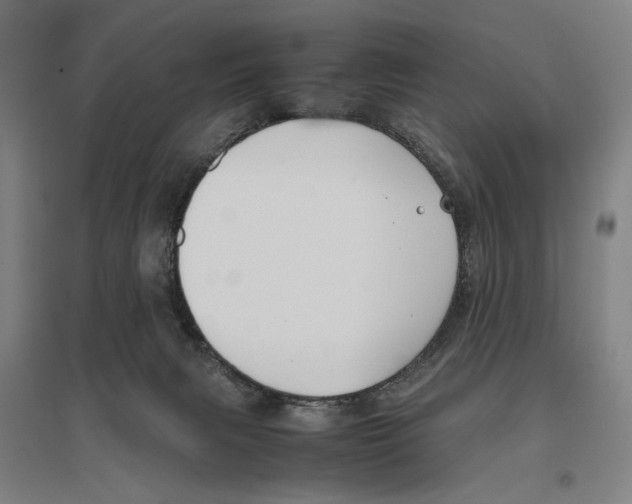 X0000096650079200803041159