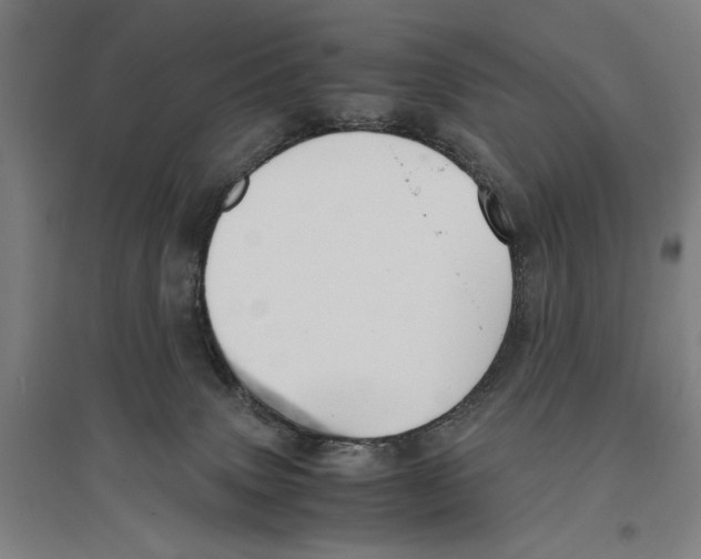 X0000096650083200803041159