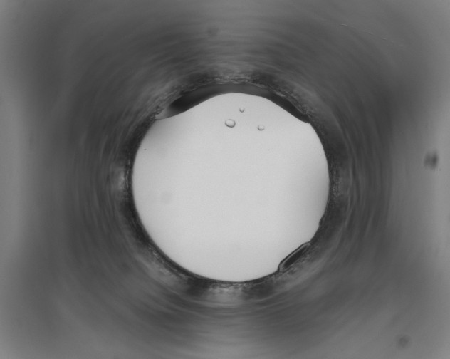 X0000096650084200803041159