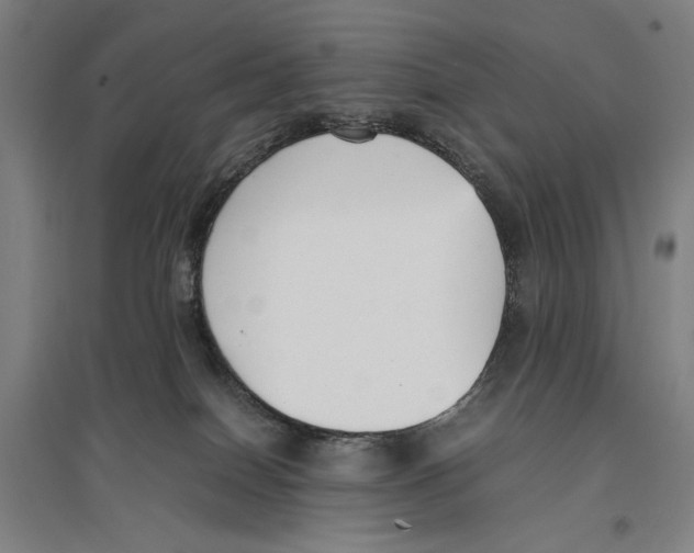 X0000096650086200803041159