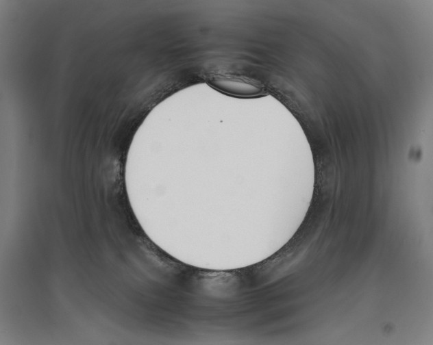 X0000096650087200803041159