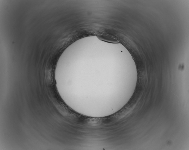 X0000096650088200803041159