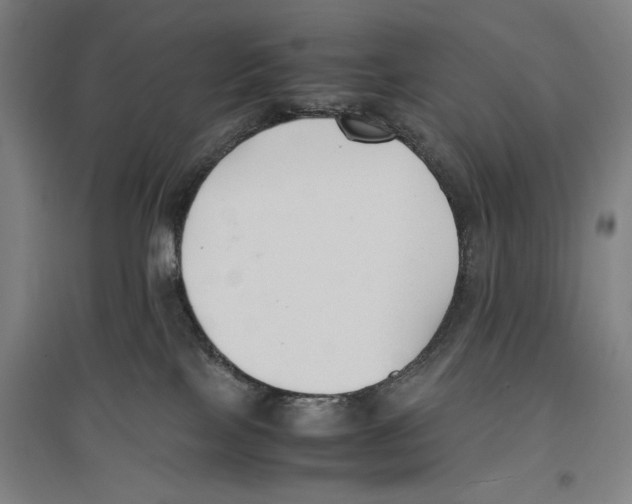 X0000096650089200803041159