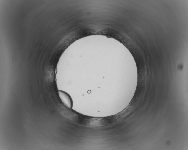 X0000096650090200803041159