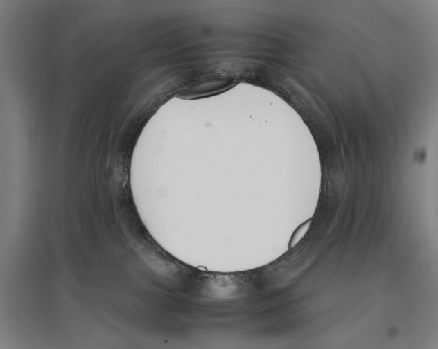 X0000096650091200803041159