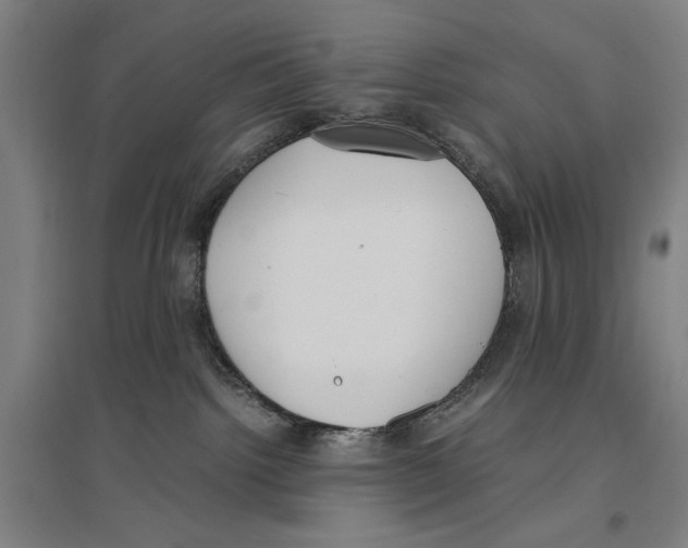 X0000096650092200803041159