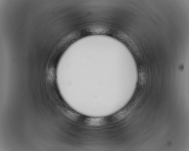 X0000096650093200803041159