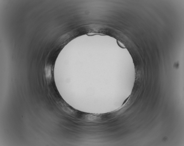 X0000096650094200803041159