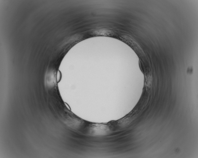 X0000096650095200803041159