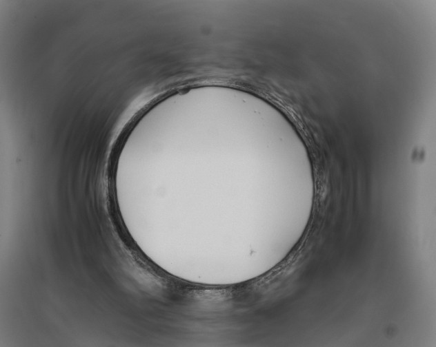 X0000096650102200803041158