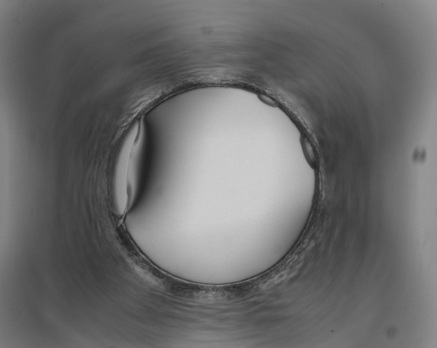 X0000096650105200803041158