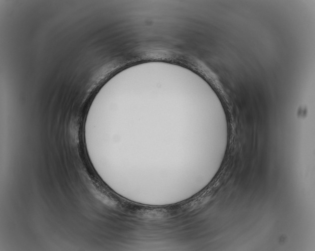 X0000096650106200803041158