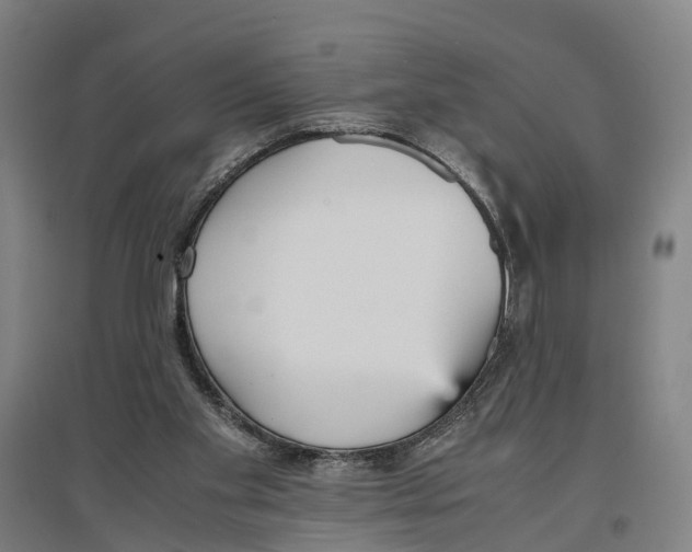 X0000096650109200803041158