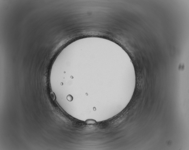 X0000096650111200803041158