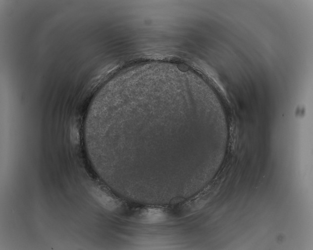 X0000096650114200803041158