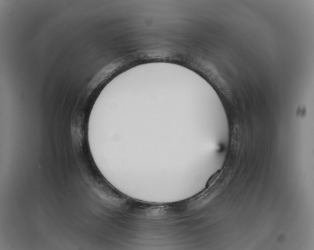 X0000096650116200803041158