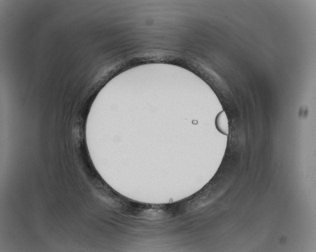 X0000096650119200803041158