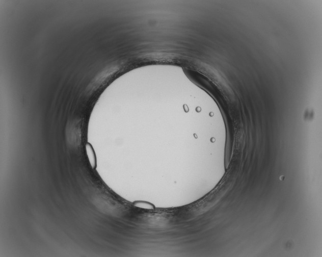 X0000096650120200803041158