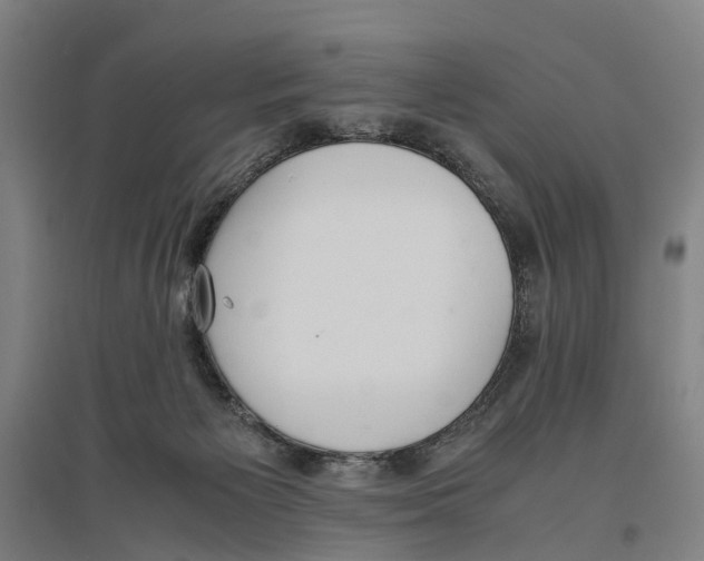 X0000096650125200803041158