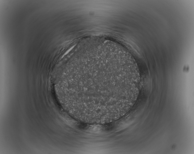 X0000096650127200803041158