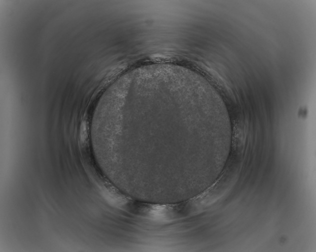 X0000096650130200803041158