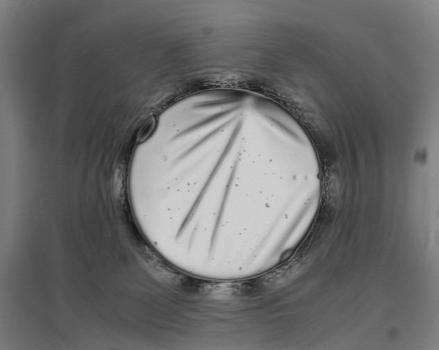 X0000096650131200803041158