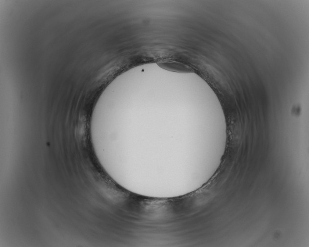 X0000096650132200803041158