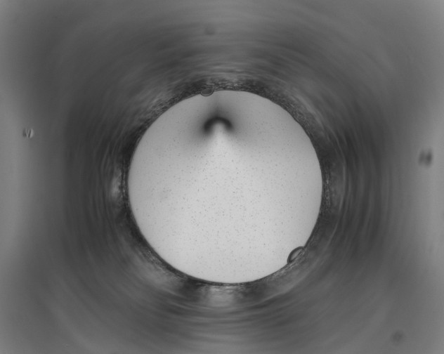 X0000096650134200803041157